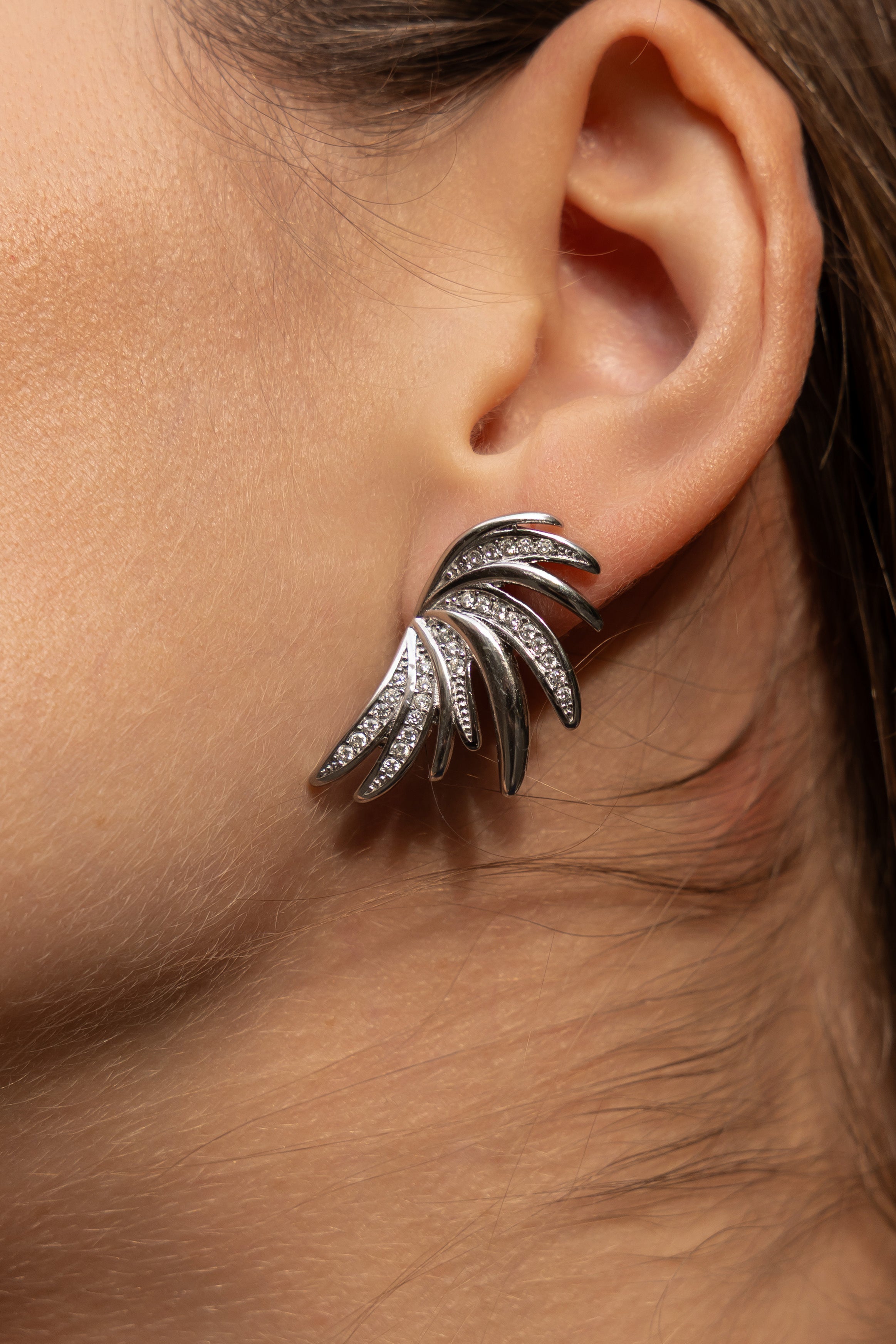 Silver Earrings